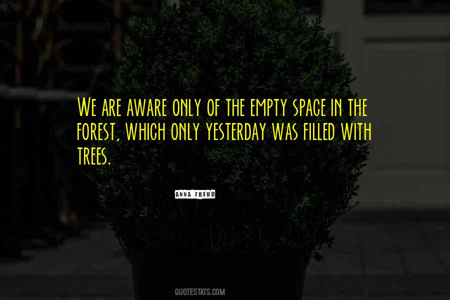 The Empty Space Quotes #786352