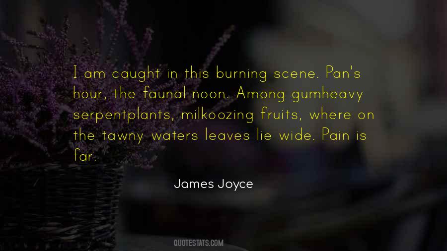 Purple Orange Quotes #739270