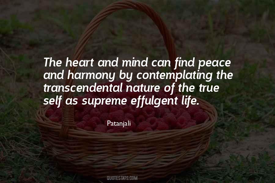 Find Peace In Your Heart Quotes #1132492