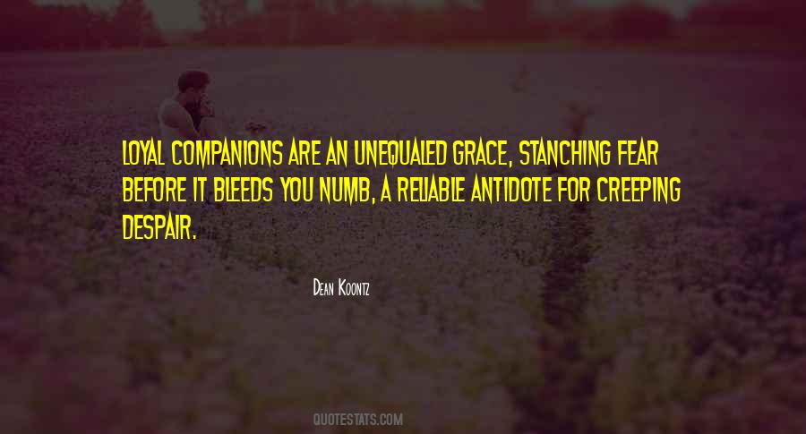 Companionship Friendship Quotes #178524