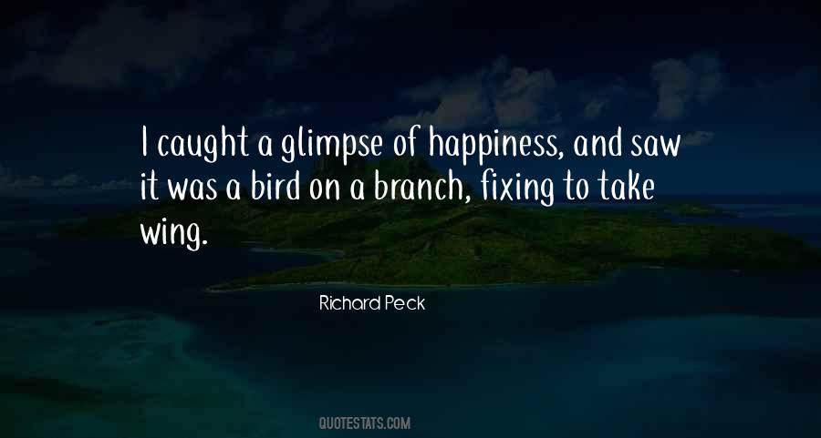 Glimpse Of Happiness Quotes #260635