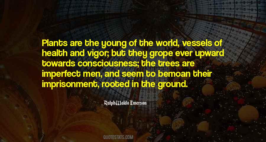 World Tree Quotes #1623301