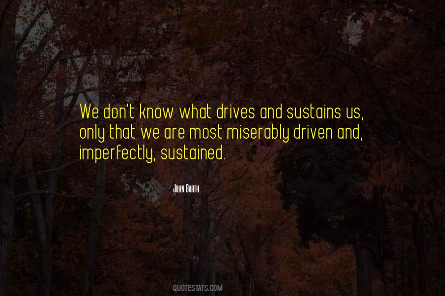 What Drives Us Quotes #982912