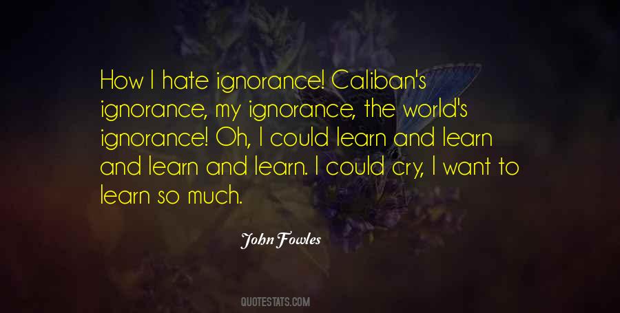Hate Ignorance Quotes #1373497