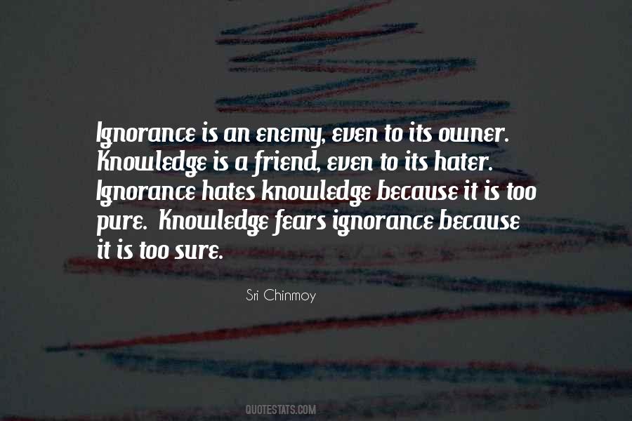 Hate Ignorance Quotes #1524698