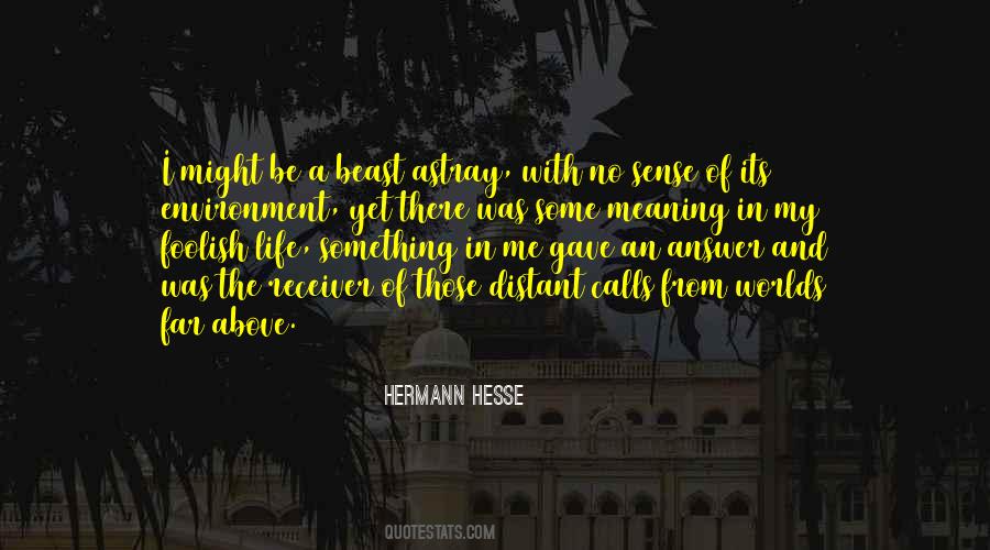 No Meaning In Life Quotes #1623336