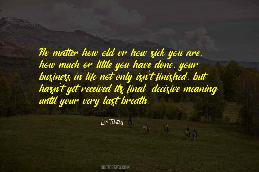 No Meaning In Life Quotes #698834