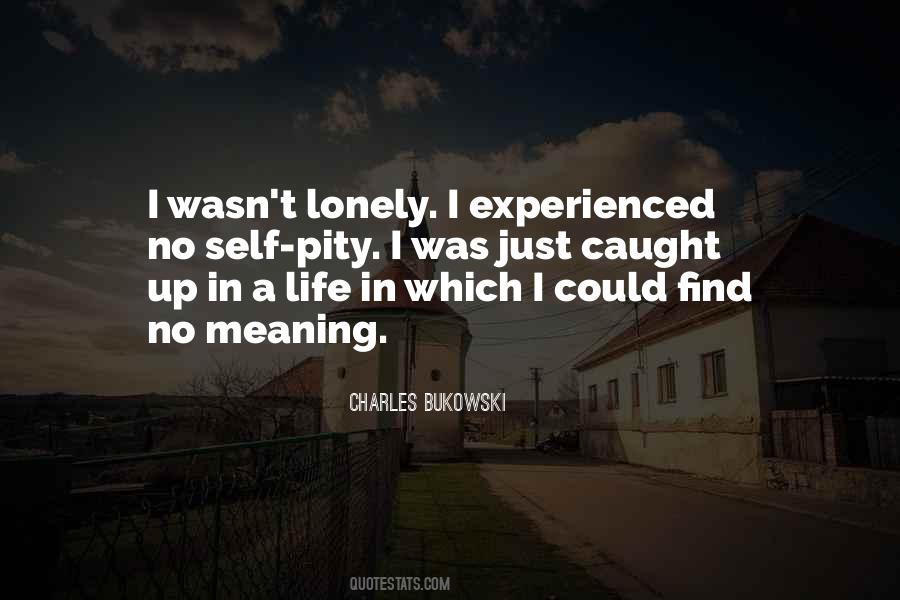 No Meaning In Life Quotes #801839