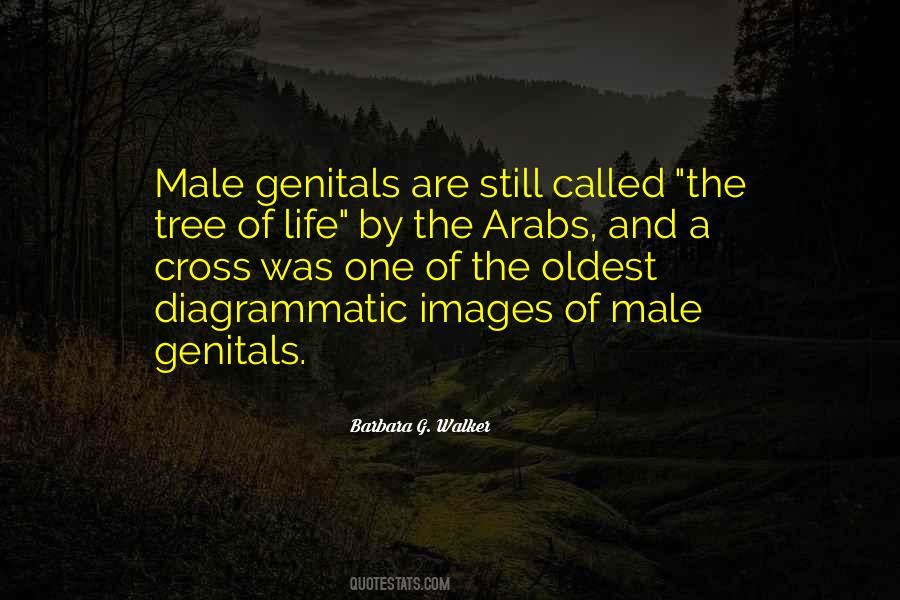 Quotes About Genitals #1367717