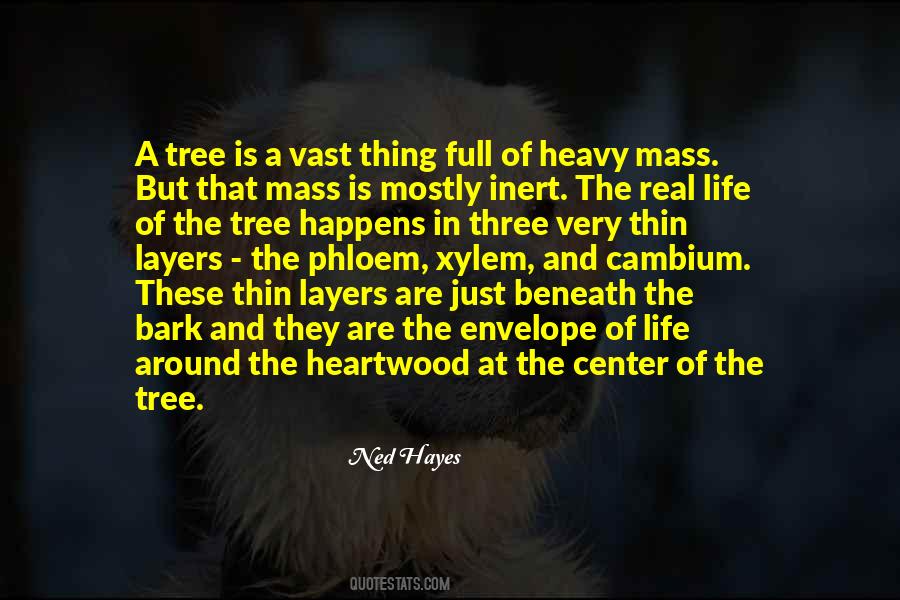 Three Layers Of Quotes #1037673