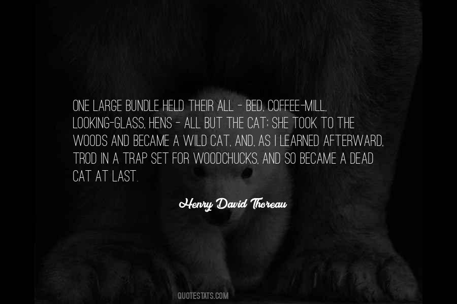 Coffee Cat Quotes #1047902