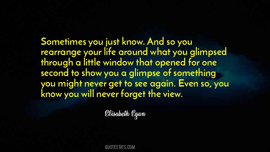 Window With A View Quotes #1771418