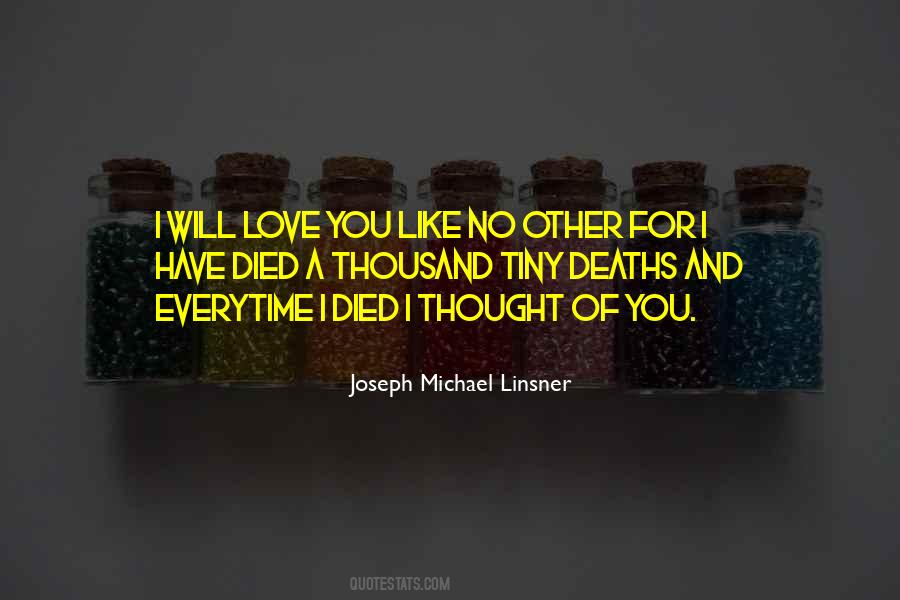 I Will Love You Like No Other Quotes #350868
