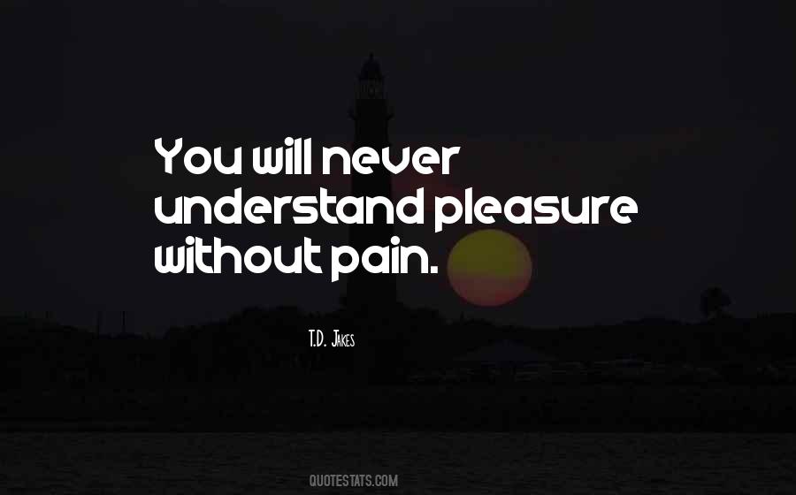 Never Will Understand Quotes #317394