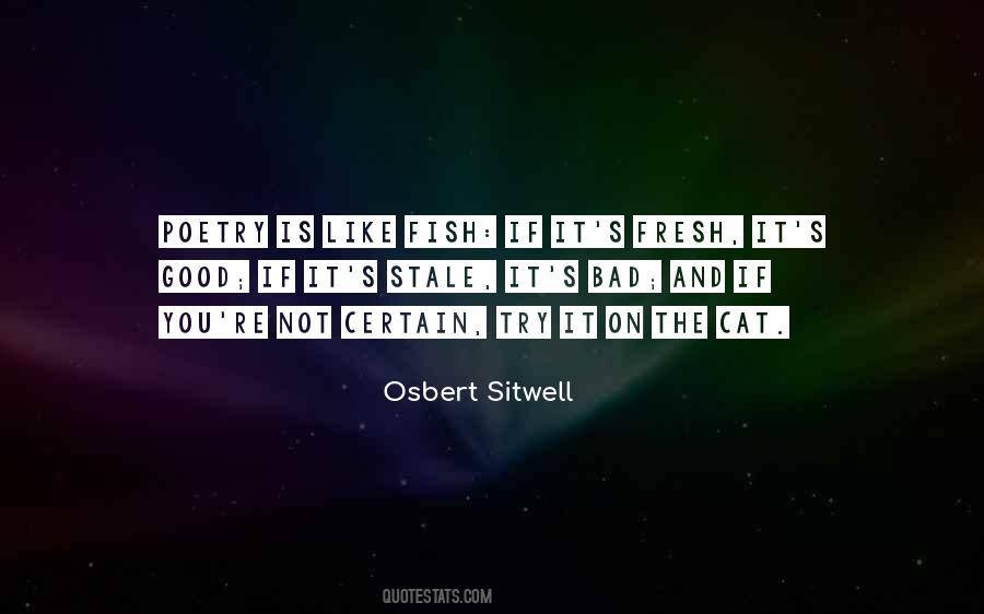 Good Cat Quotes #169054