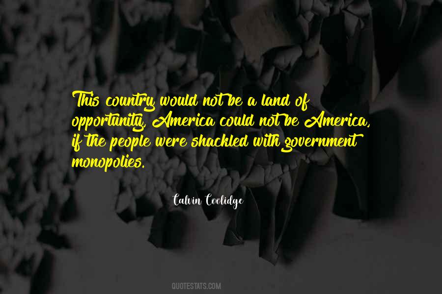 America Is A Land Of Opportunity Quotes #1817561