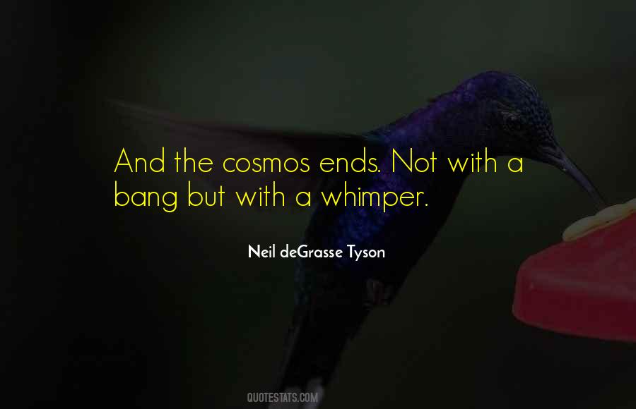 Not A Bang But A Whimper Quotes #542257