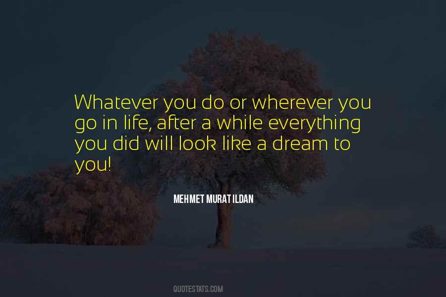 Go After Dreams Quotes #1549106