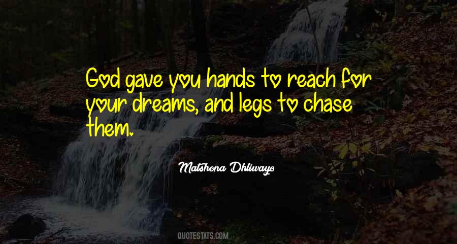 Go Chase Your Dreams Quotes #239354
