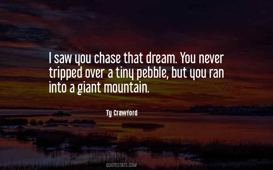 Go Chase Your Dreams Quotes #358687