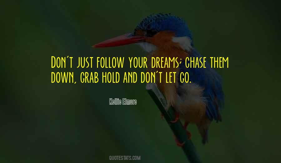 Go Chase Your Dreams Quotes #729634