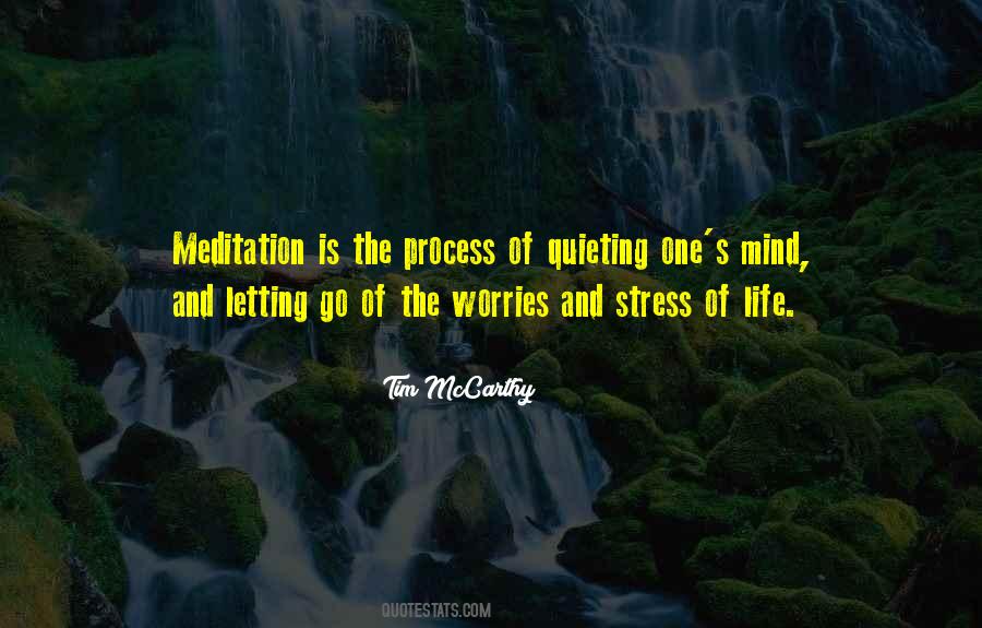 Stress Mind Quotes #281964