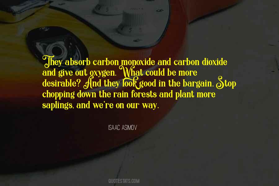 Rain Will Stop Quotes #1770702