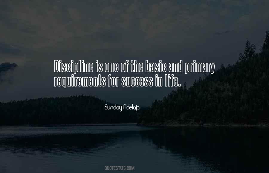 Success Discipline Quotes #1330194