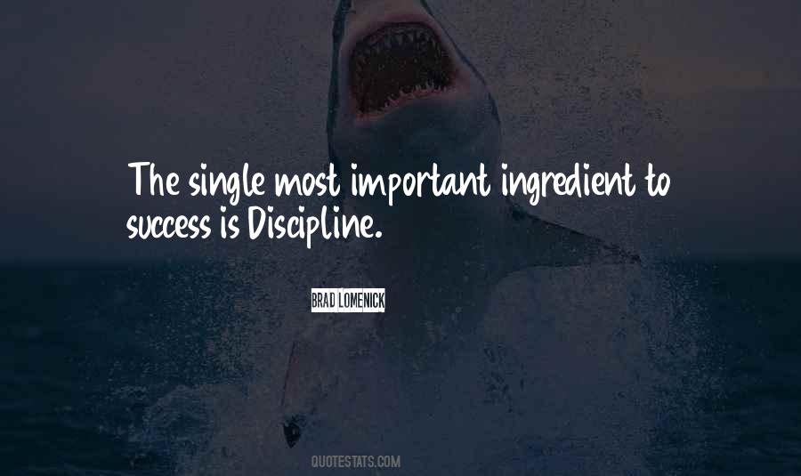 Success Discipline Quotes #1411038