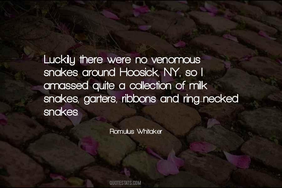 Y N Quotes #759043