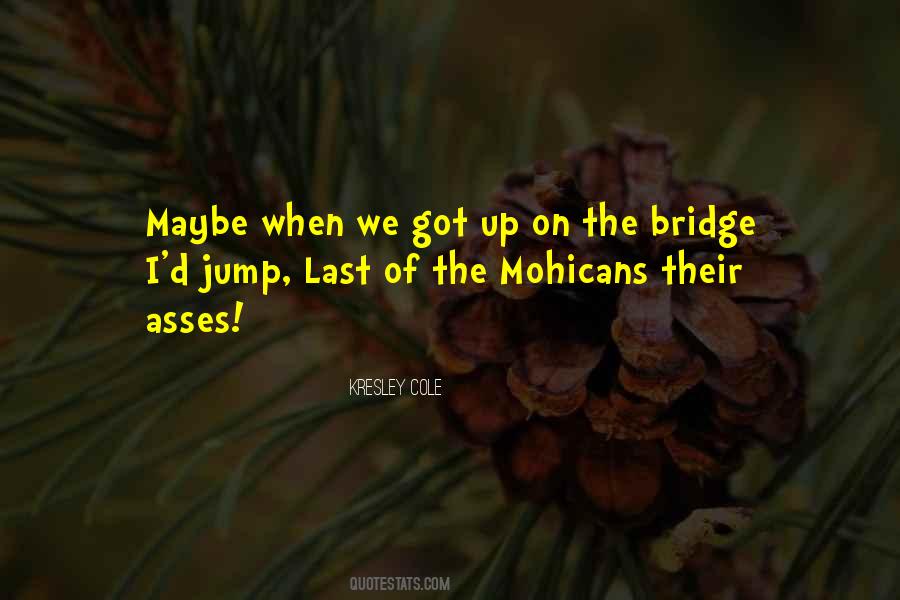 Go Jump Off A Bridge Quotes #573592