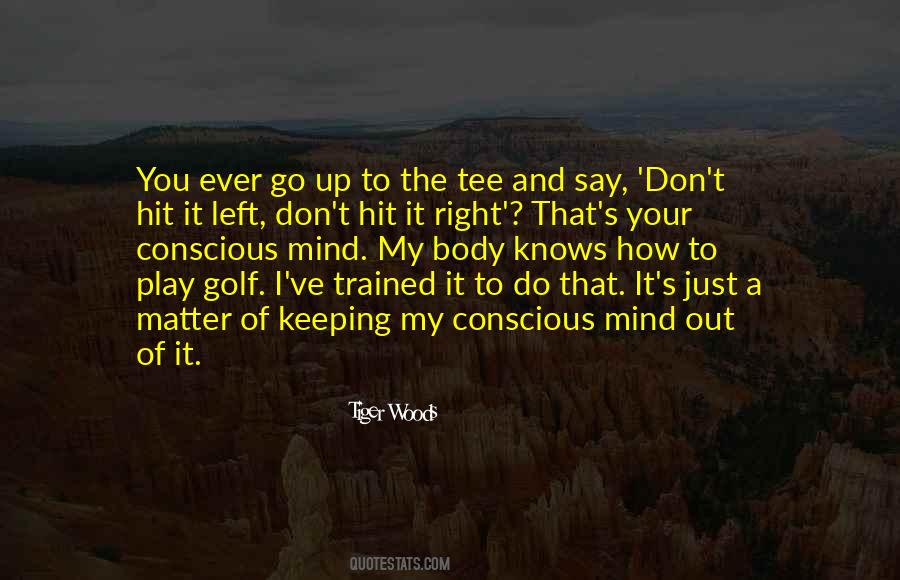 Go Out And Do It Quotes #94164