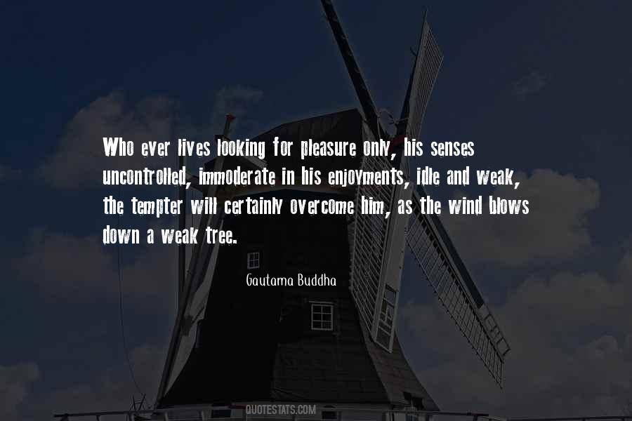 Go Where The Wind Blows Quotes #31935