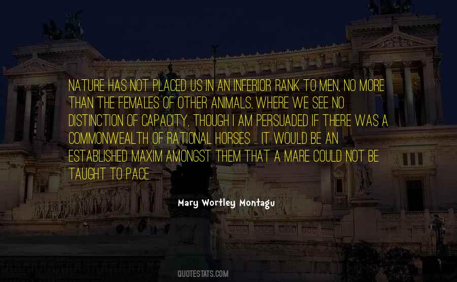 Horse Animal Quotes #639159