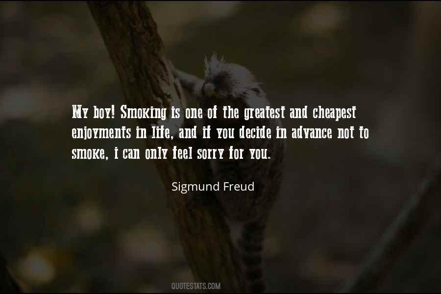 Can Feel Sorry Quotes #344659