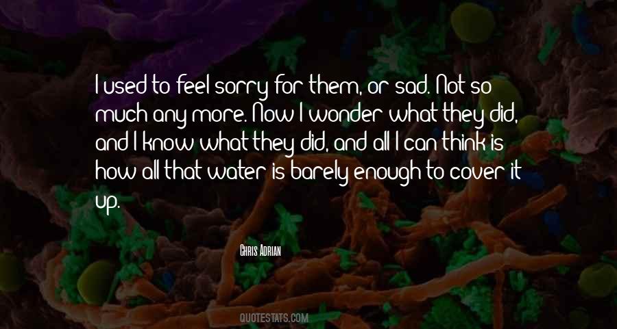 Can Feel Sorry Quotes #911207