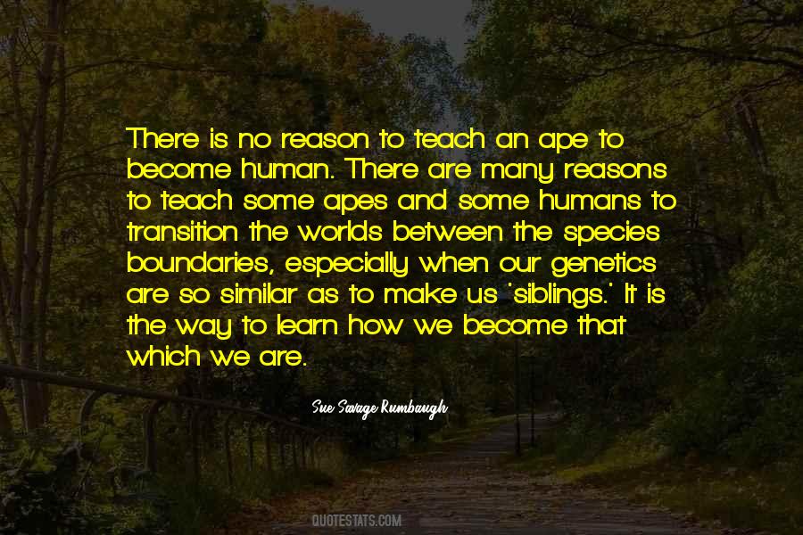 Quotes About The Way We Learn #590714