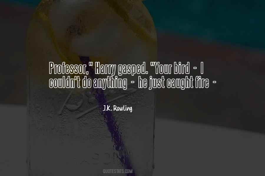 Phoenix Fire Quotes #922228