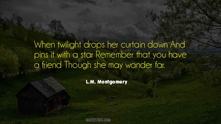 Friendship Spirit Quotes #347534