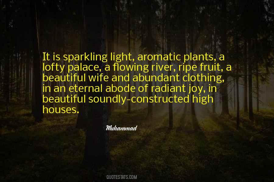 Joy And Light Quotes #124767