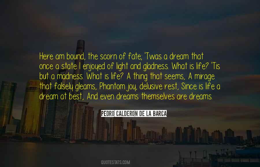 Joy And Light Quotes #382219