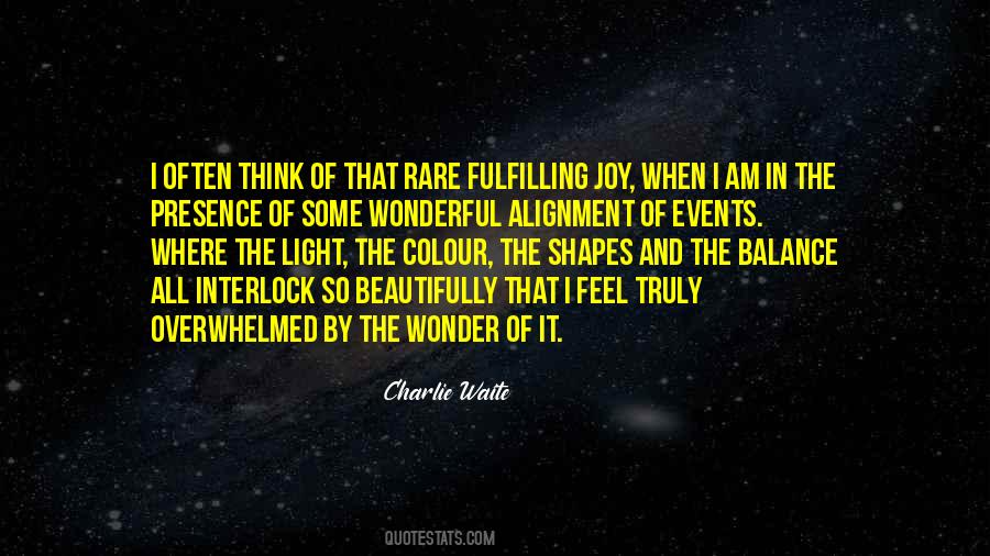 Joy And Light Quotes #845411