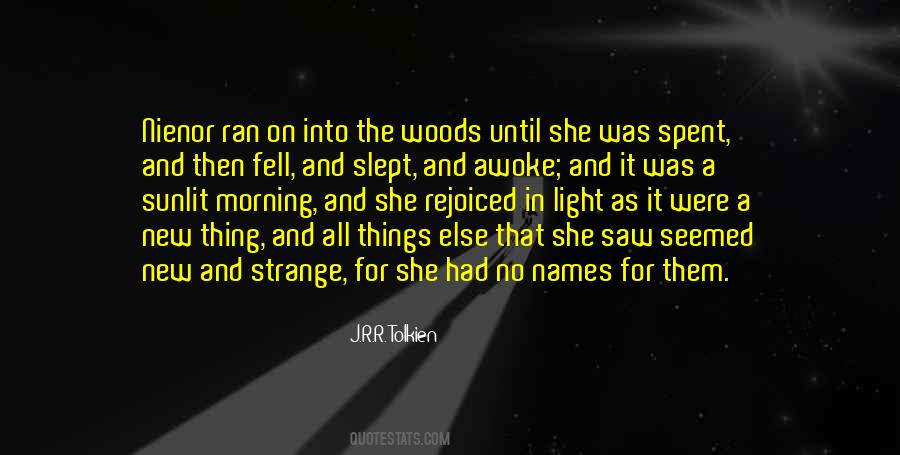 Joy And Light Quotes #916397
