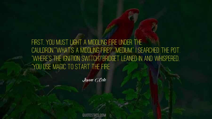Quotes About Light And Fire #1204057