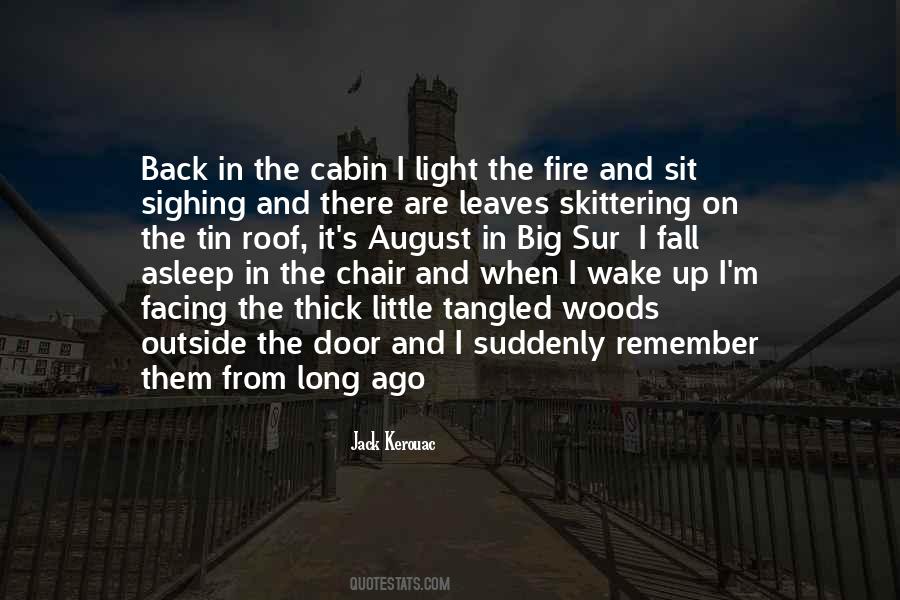 Quotes About Light And Fire #404452