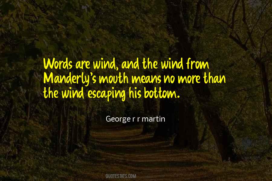 Words Are Wind Quotes #707094