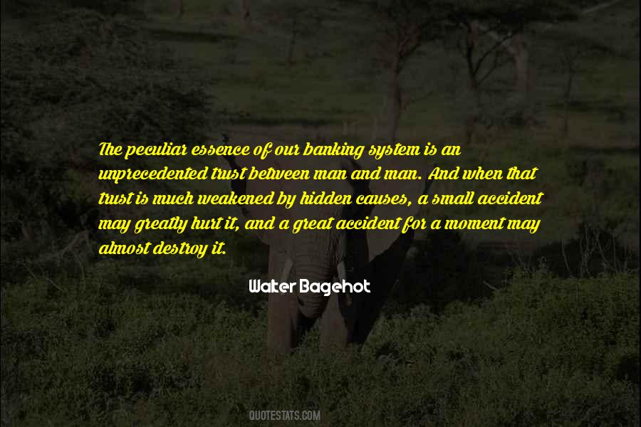 Hidden Hurt Quotes #589590