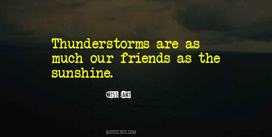 Storm Sunshine Quotes #1047572