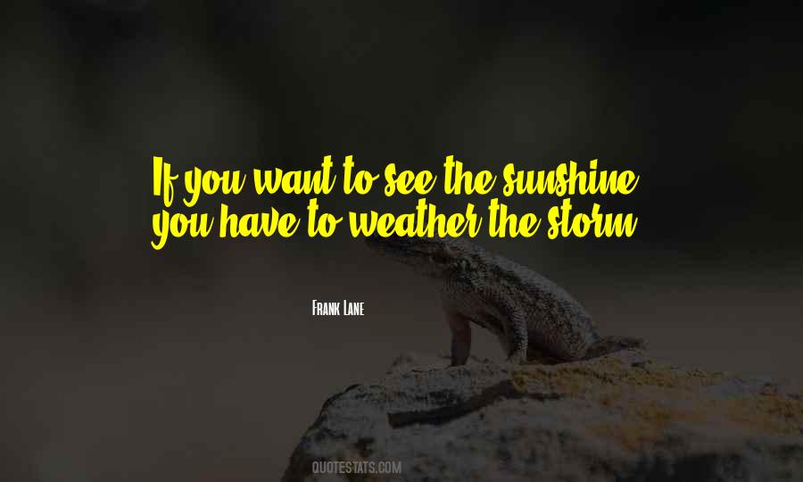 Storm Sunshine Quotes #1168092