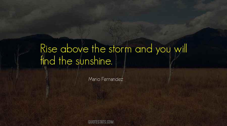 Storm Sunshine Quotes #1679904